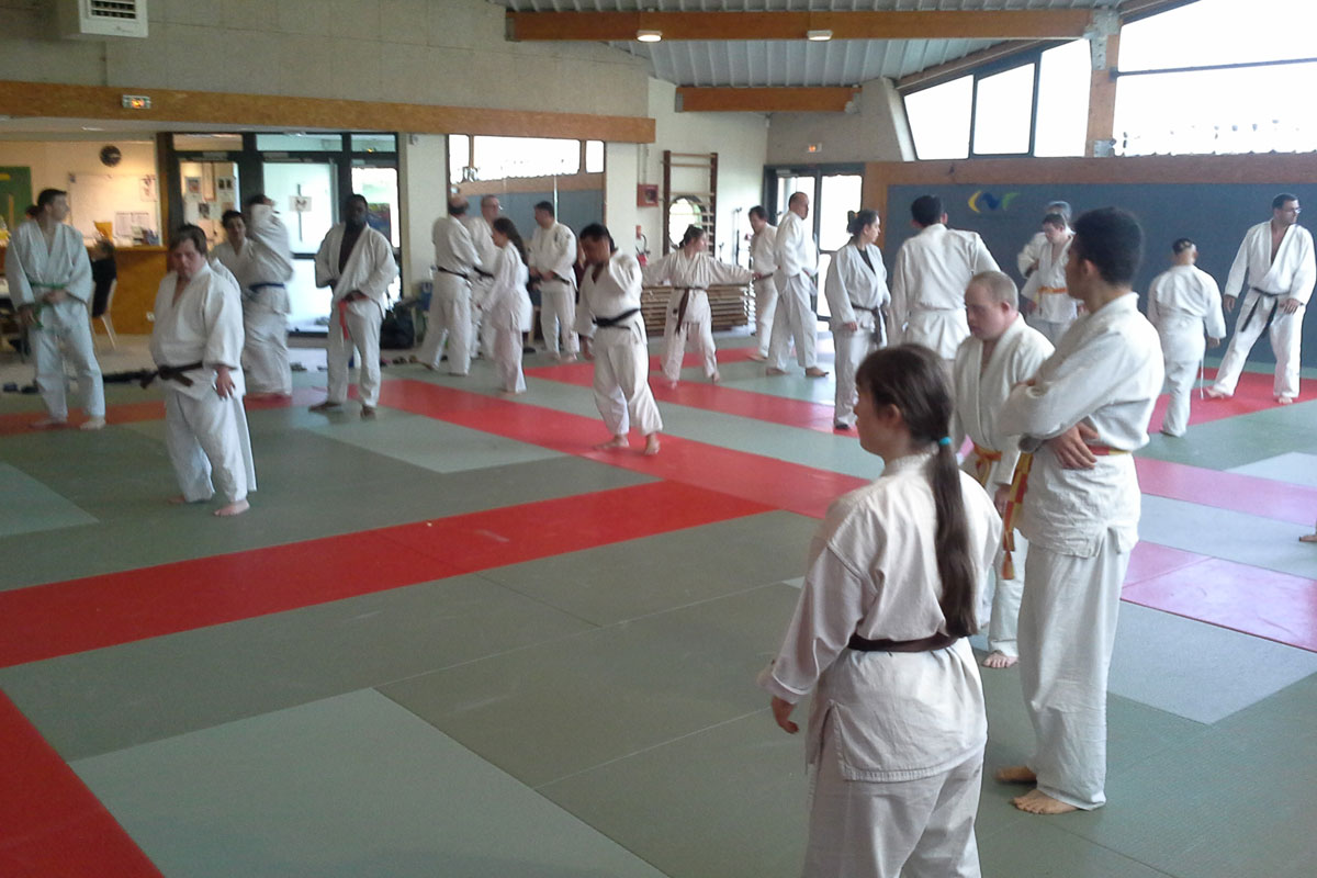 Stage fin de saison "Handijudo" 2016